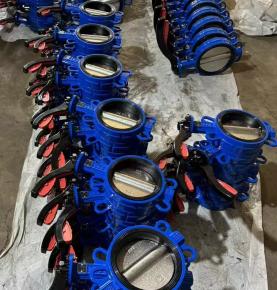 Manual Ductile Cast Iron Steel EPDM Seat Wafer Type Butterfly Valve Flange End DN50 Dn300 Dn600 Wafer Butterfly Valves for Water Media
